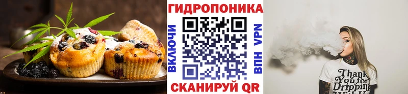 даркнет Telegram  MEGA рабочий сайт  Мирный  Cannafood марихуана 