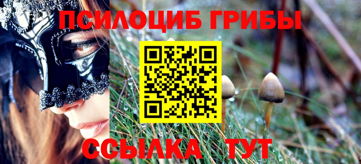 Псилоцибиновые грибы мицелий Мирный