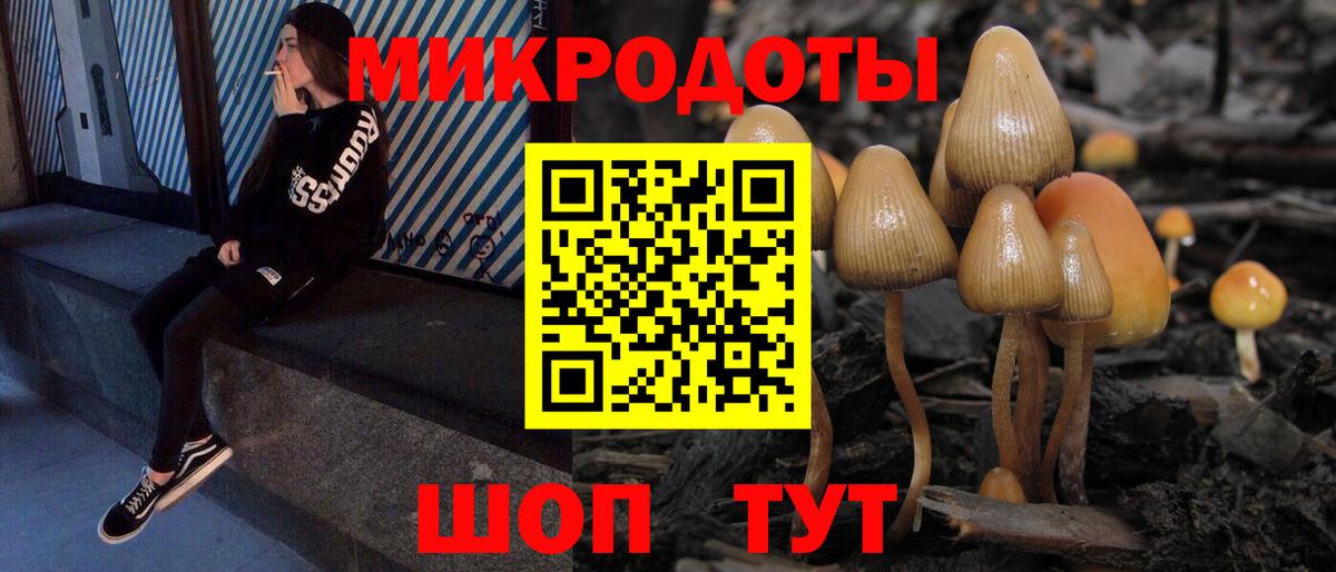 купить наркотики цена  Вход с VPN  Мирный  Псилоцибиновые грибы MAGIC MUSHROOMS 